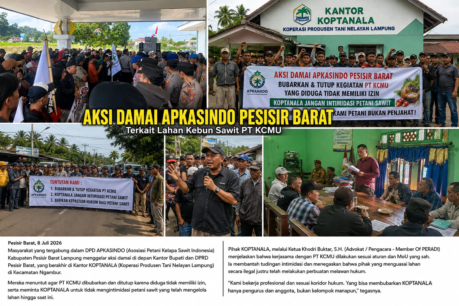 Aksi Damai Apkasindo Pesisir Barat Tuntut PT KCMU Dibubarkan, Koptanala Bantah Tuduhan dan Klaim Penguasaan Lahan Ilegal